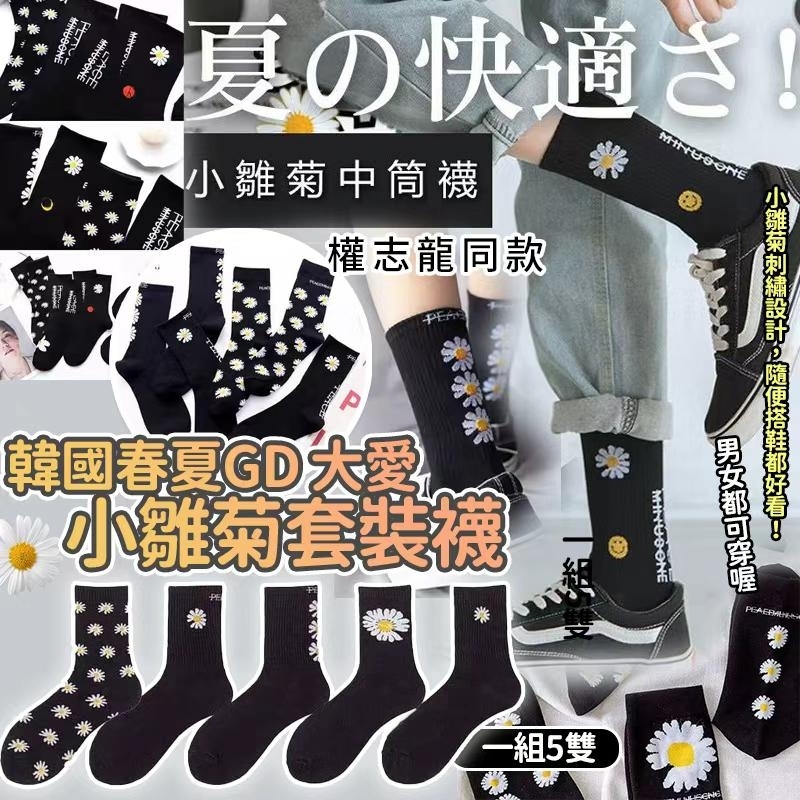 韓國春夏小雛菊襪5對套裝